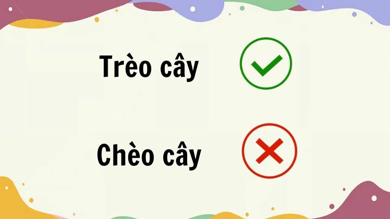 Trèo cây hay chèo cây đúng chính tả?