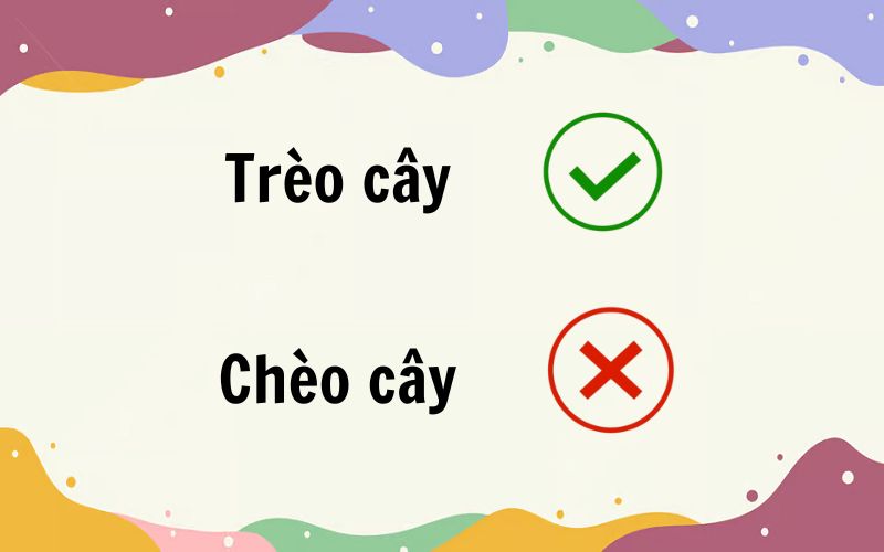 Trèo cây hay chèo cây đúng chính tả?